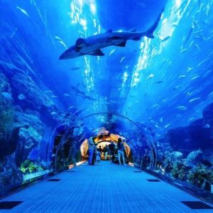 34b83e3bfb04913a9a7852aebdc4bae4 Dubai Aquarium & Underwater Zoo (UAE)