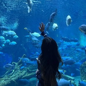 Monterey Bay Aquarium (USA)
