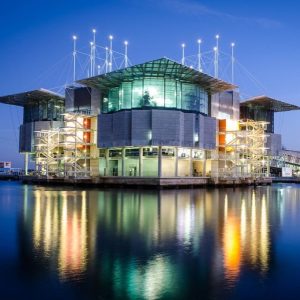 Lisbon Oceanarium (Portugal)
