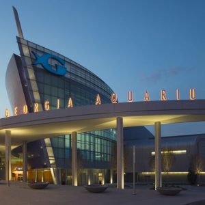 bf3b16ddd562ac5f9a66de0748044598 Georgia Aquarium (USA)